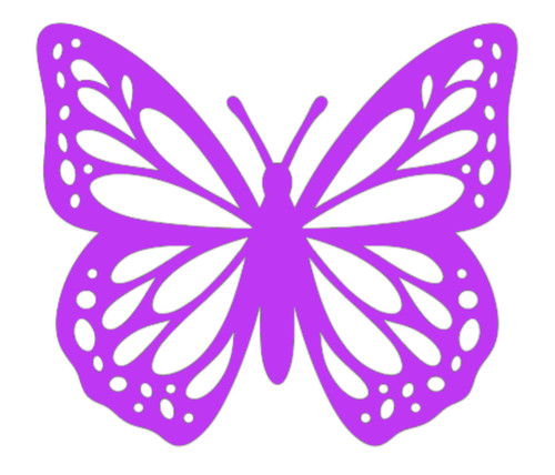 Butterfly car bike scooter - car,