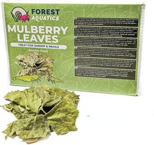 Mulberry Leaves Food for