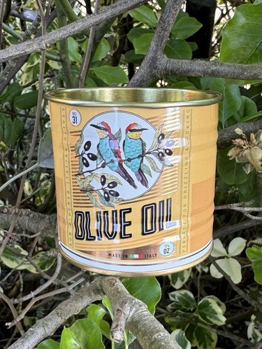 Birds olive oil design - oil,