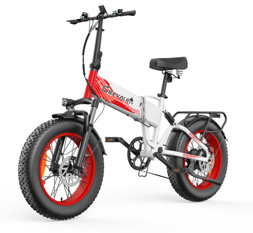 48v 20ah electric bike - 20ah,