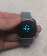 Fitbit Versa  Activity Health