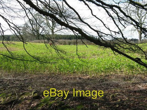 Photo 6x4 field blackburn - at,