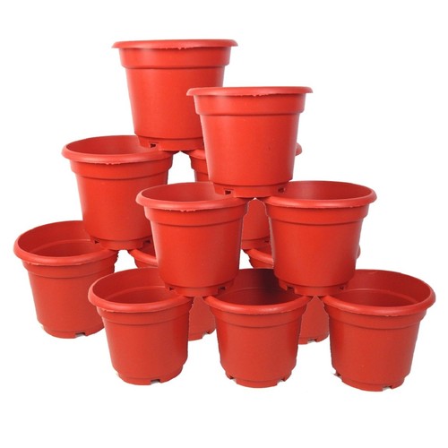 Inch terracotta colored - inch,