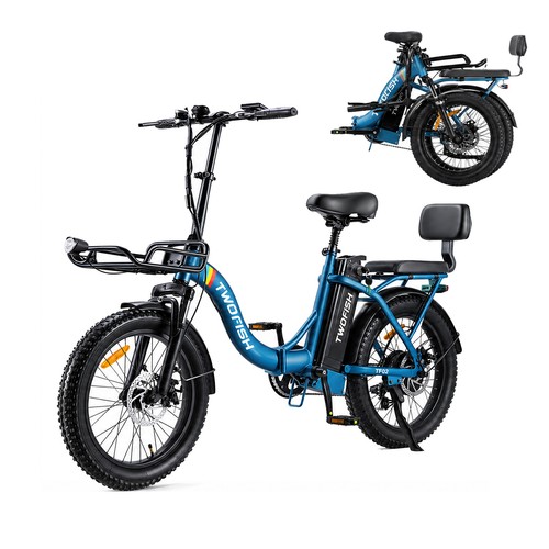 2026 twofish electric bike - electric,
