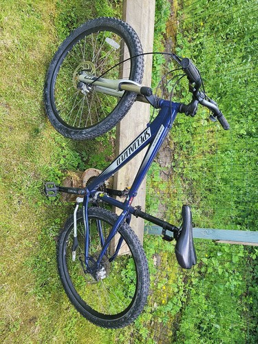 Specialized mountain bike - mountain,
