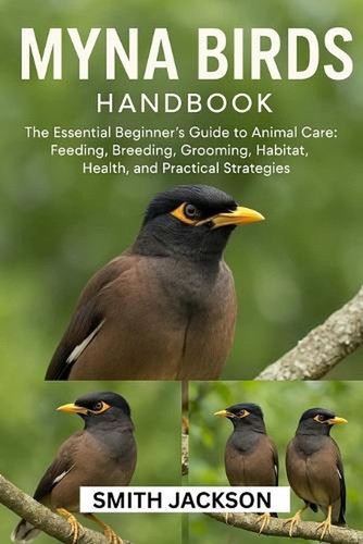 Myna birds the essential - myna, birds: