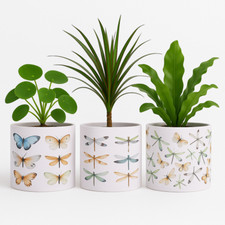Butterfly ceramic plant pot - ceramic,