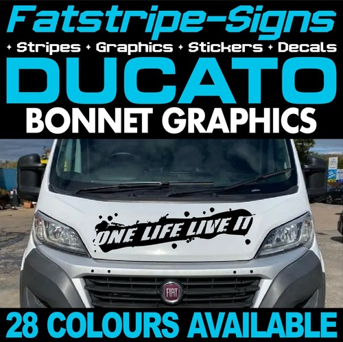 Fits fiat ducato graphics - fits,