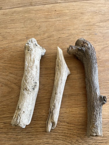 Chunky driftwood branch sea - chunky,