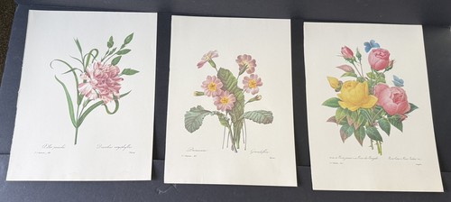 Vintage redoute floral - p.j.,