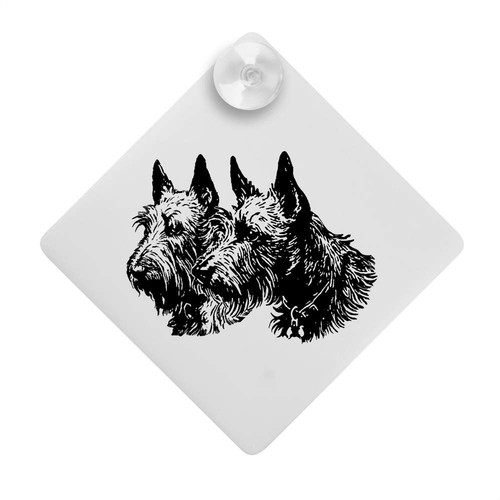 Scottish terrier couple - 'scottish, couple'