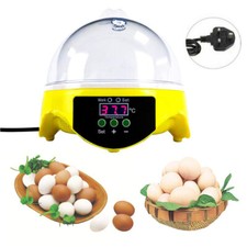 Incubators for Hatching Eggs