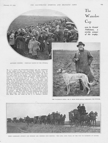 Coursing waterloo cup won - cup,