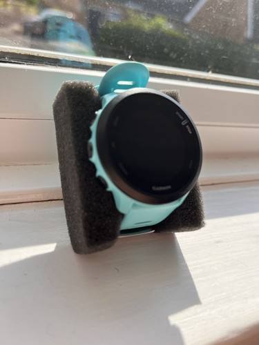 Garmin forerunner blue gps - garmin,