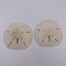 2-Beautiful Natural Sand