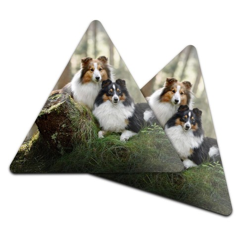 Triangle coaster sheltie - 2x,