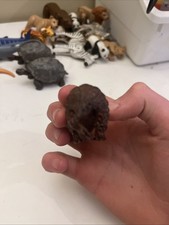 Armadillo Schleich Retired