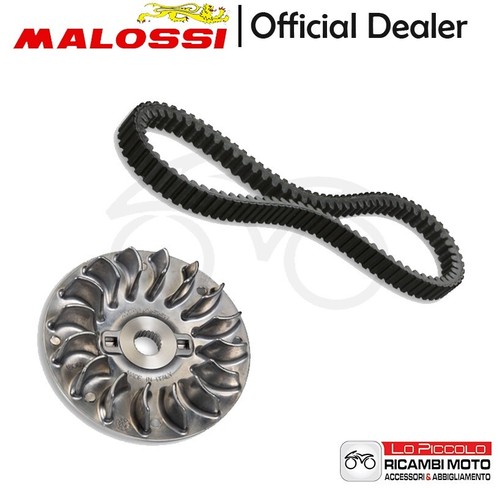Malossi semi pulley - malossi, +