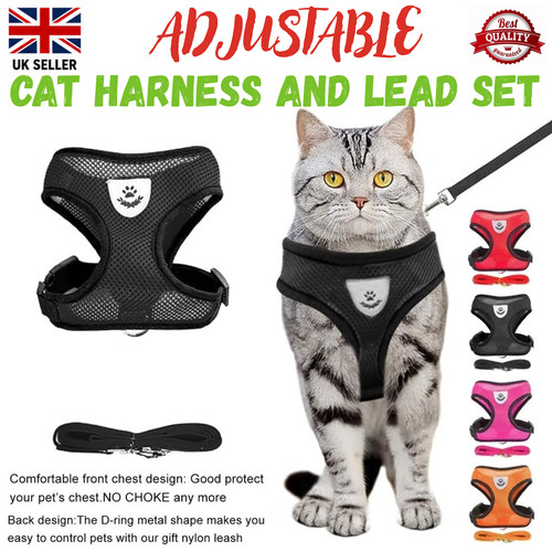 Adjustable cat harness and - adjustable,