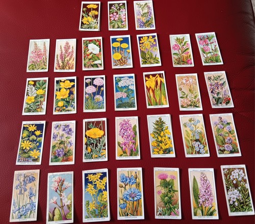 Wills cigarette cards wild - wills,