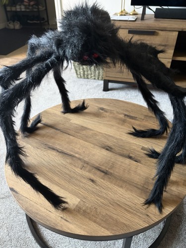 Large black furry halloween - large,