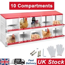 10 Compartments Chicken