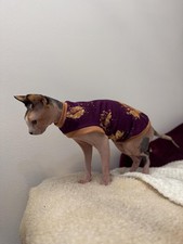 Cotton Sphynx Cat T-Shirt