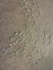 5 X Handmade White And Silver