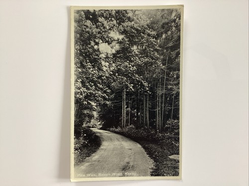 1950 postcard view of - postcard,