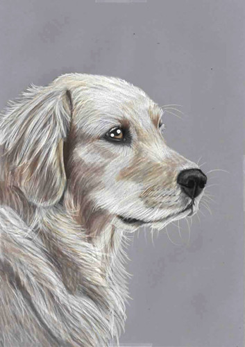 Original colour pencil artwork - original,