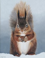 Cute " Red Squirrel in the snow" Original Wildlife Painting in Acrylics