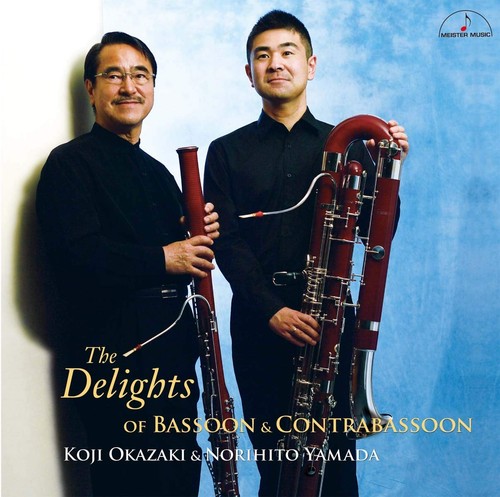 The pleasures bassoon and - of,