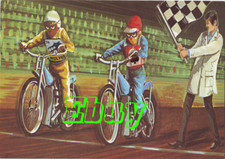 Speedway Race for the Line -