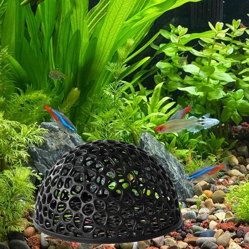 Aquariums hideouts shelter for - shelter,