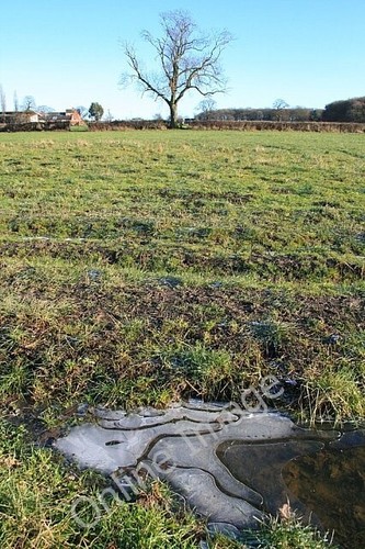 Photo 6x4 ice and - photo, spondon