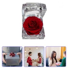 Eternal Real Flower Preserved