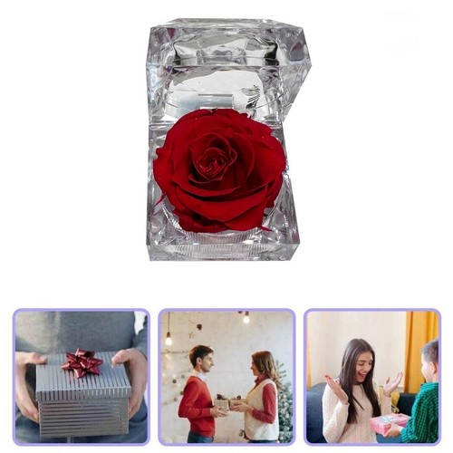 Eternal real flower preserved - eternal,
