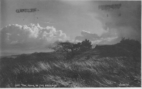 Postcard 507 the - the, home