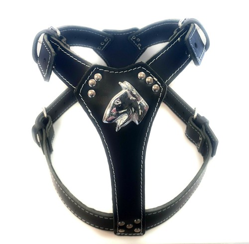 Black leather dog - leather,