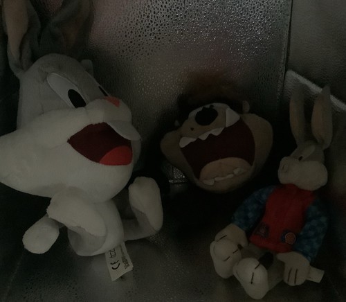 Looney toons bundle - toons,