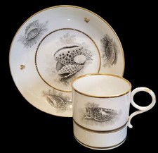 Antique Worcester Barr Flight & Barr Coffee Can & Saucer Bat Printed Seashells 