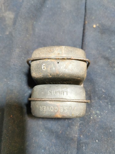 Austin seven lucas - seven, cut