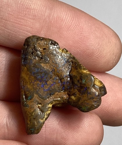 Boulder opal from - boulder,