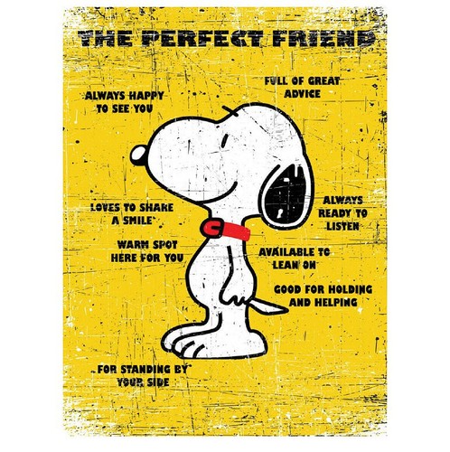 Snoopy perfect friend retro - perfect,
