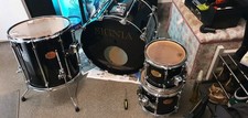 Premier Signia Maple Shell