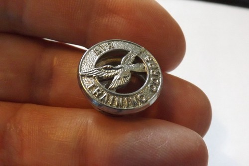 Military badge raf royal air - badge,