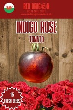 Indigo Rose Tomato Seeds – 15 Heirloom Cherry Veg Seeds for Garden