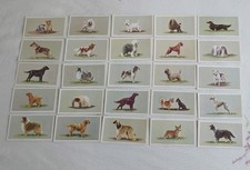 Grandee Cards - Top Dogs