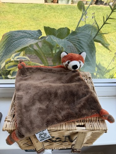 Nature planet red panda