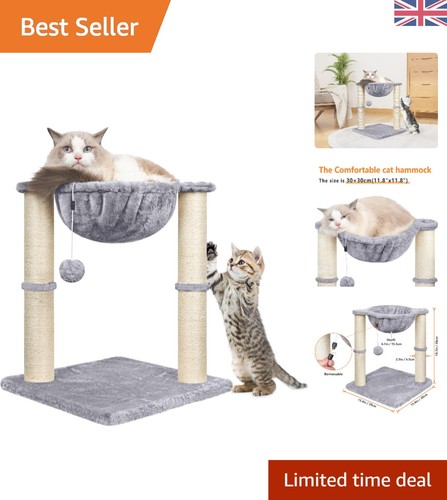 Interactive cat furniture - cat,